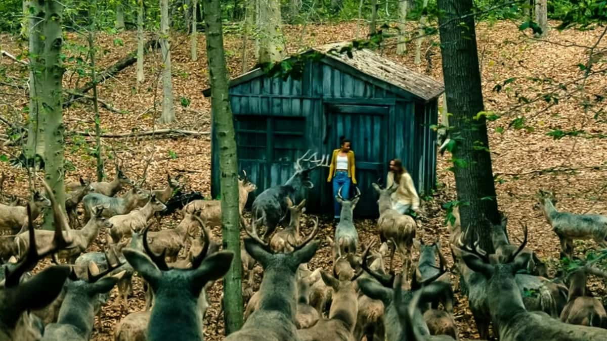 The deer in Leave the World Behind