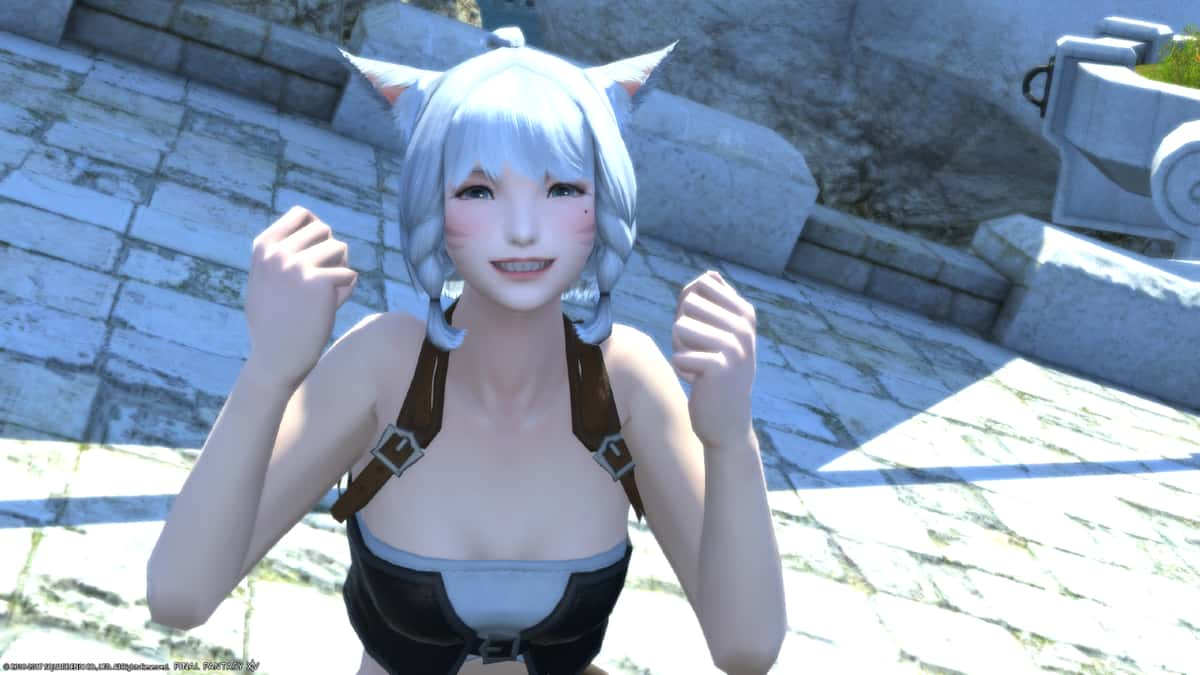 Final Fantasy Miqo’te character