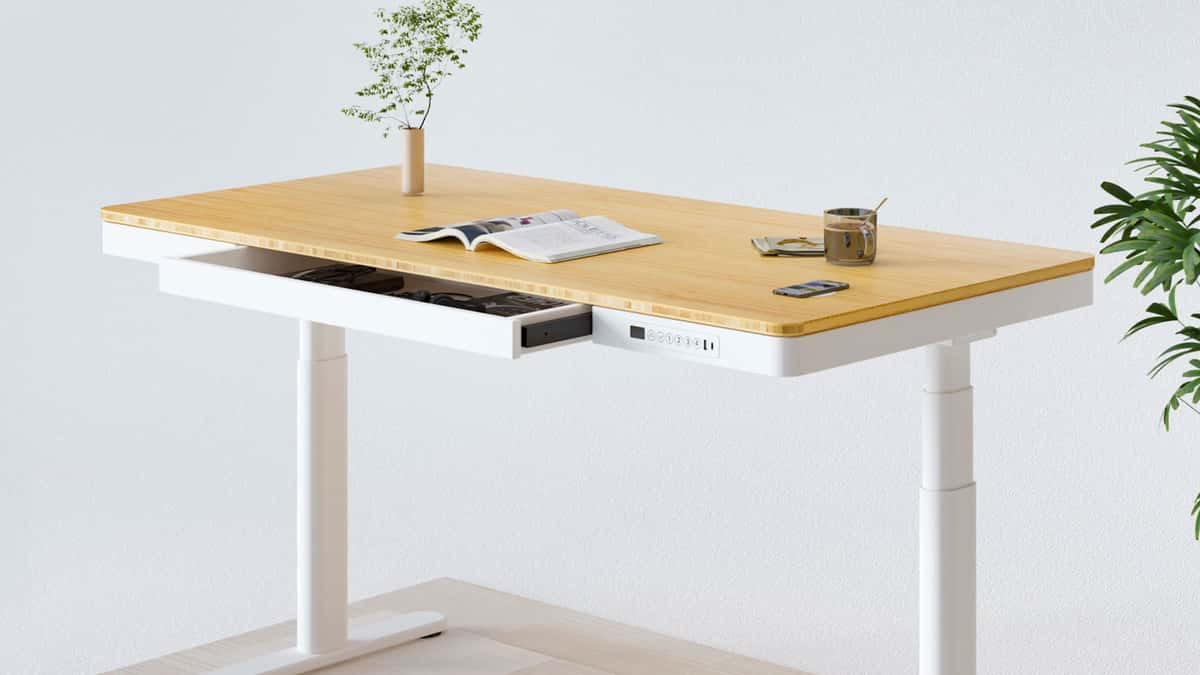 flexispot Q8 standing desk