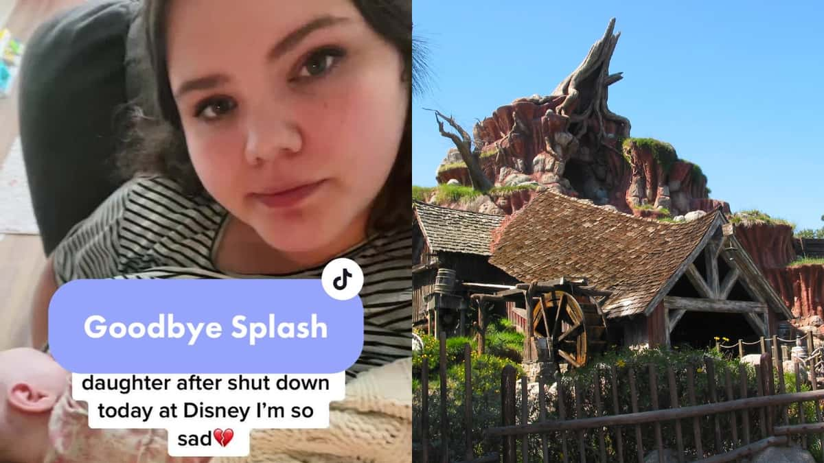 Splash Mountain TikTok