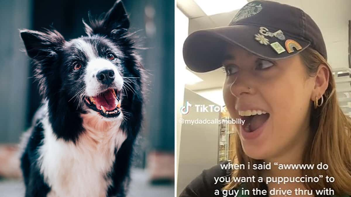 Woman mistakes mans girlfriend for dog starbucks