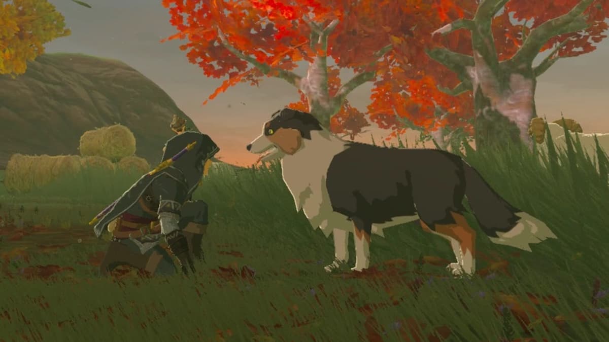 Legend of Zelda pet the dog