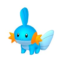 Mudkip