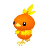 Torchic