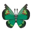 garden vivillon