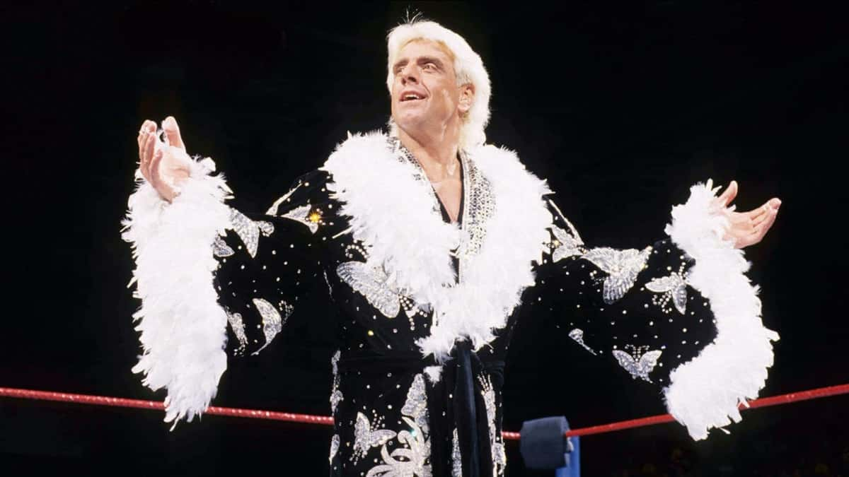 ric flair cameo clips