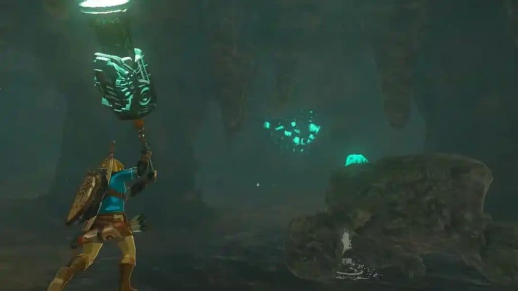 link wielding weapon in tears of the kingdom