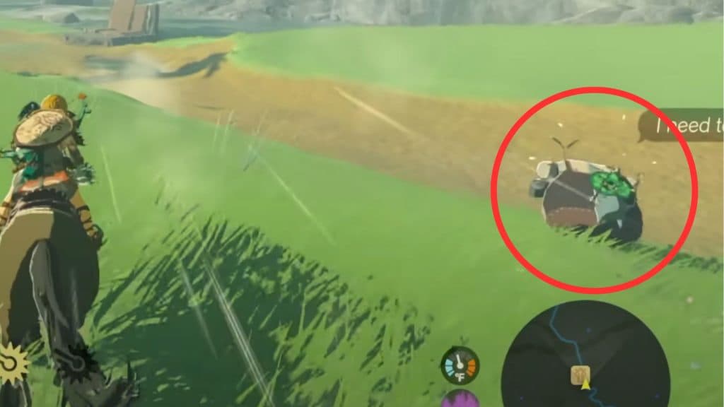 A Korok in The Legend of Zelda: Tears of the Kingdom