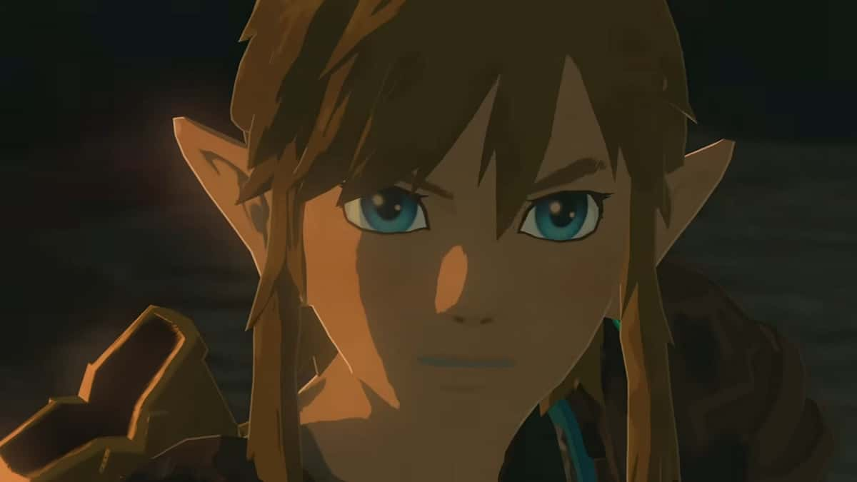 Link staring at the camera