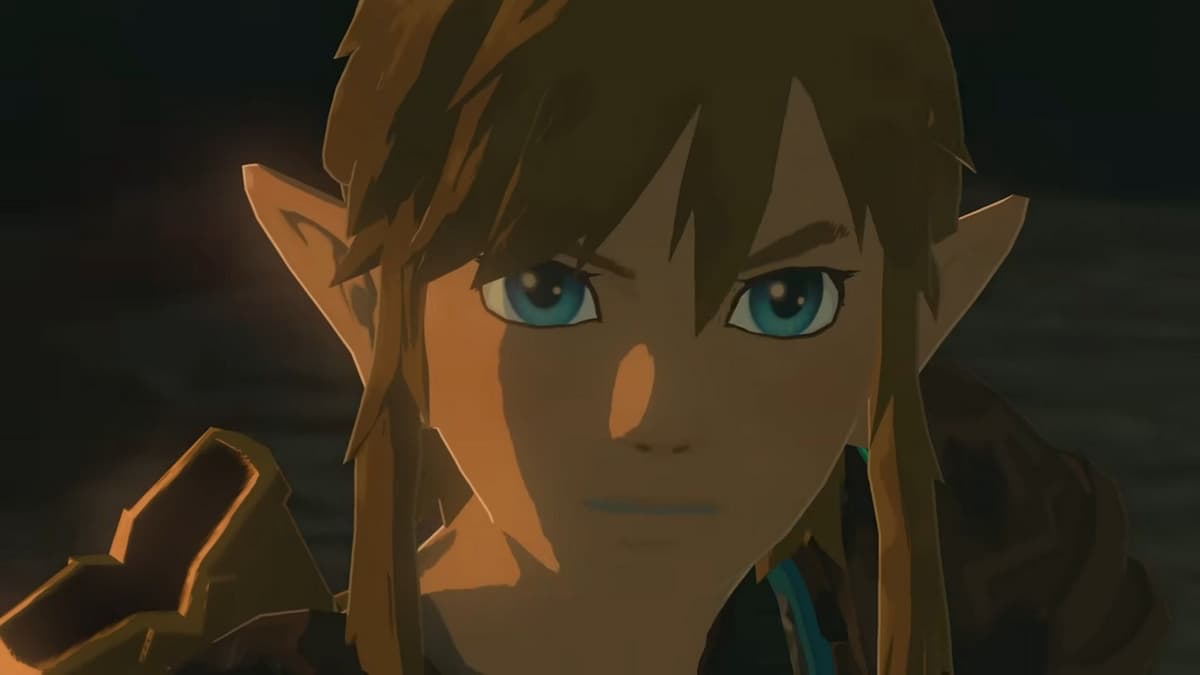 Link staring at the camera