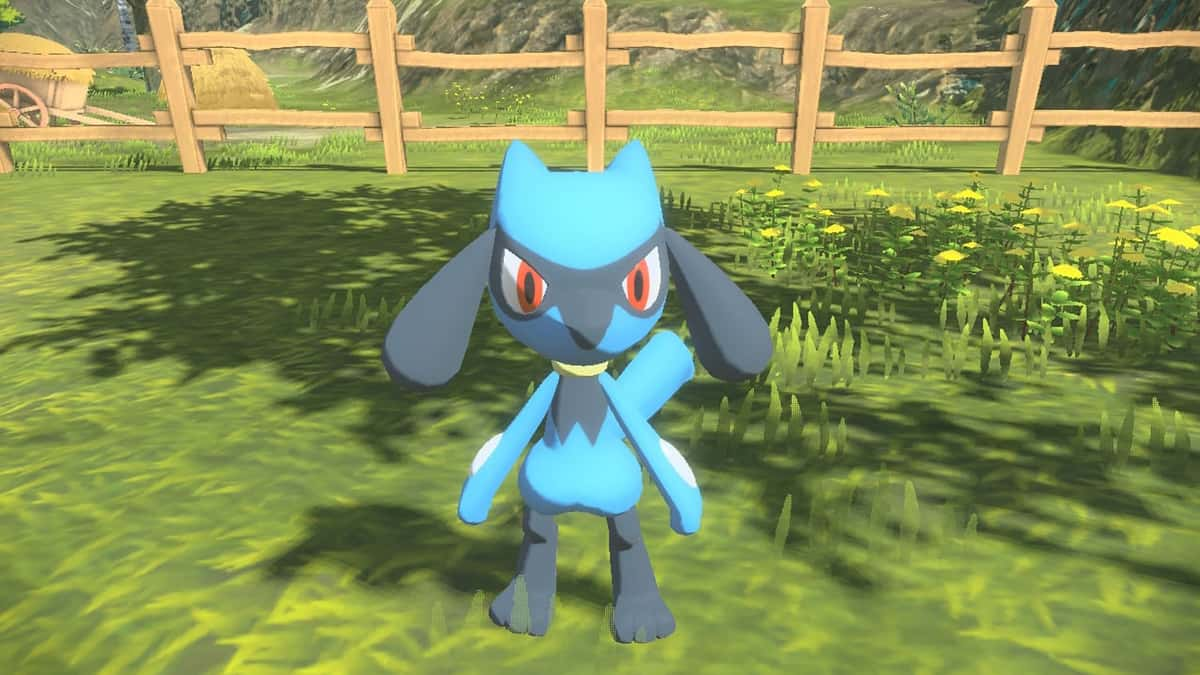 Riolu