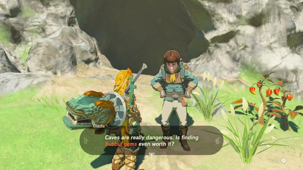 Link talking to an NPC about Bubbul Gems