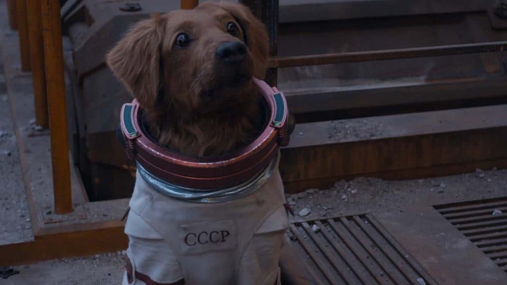 Cosmo the Spacedog