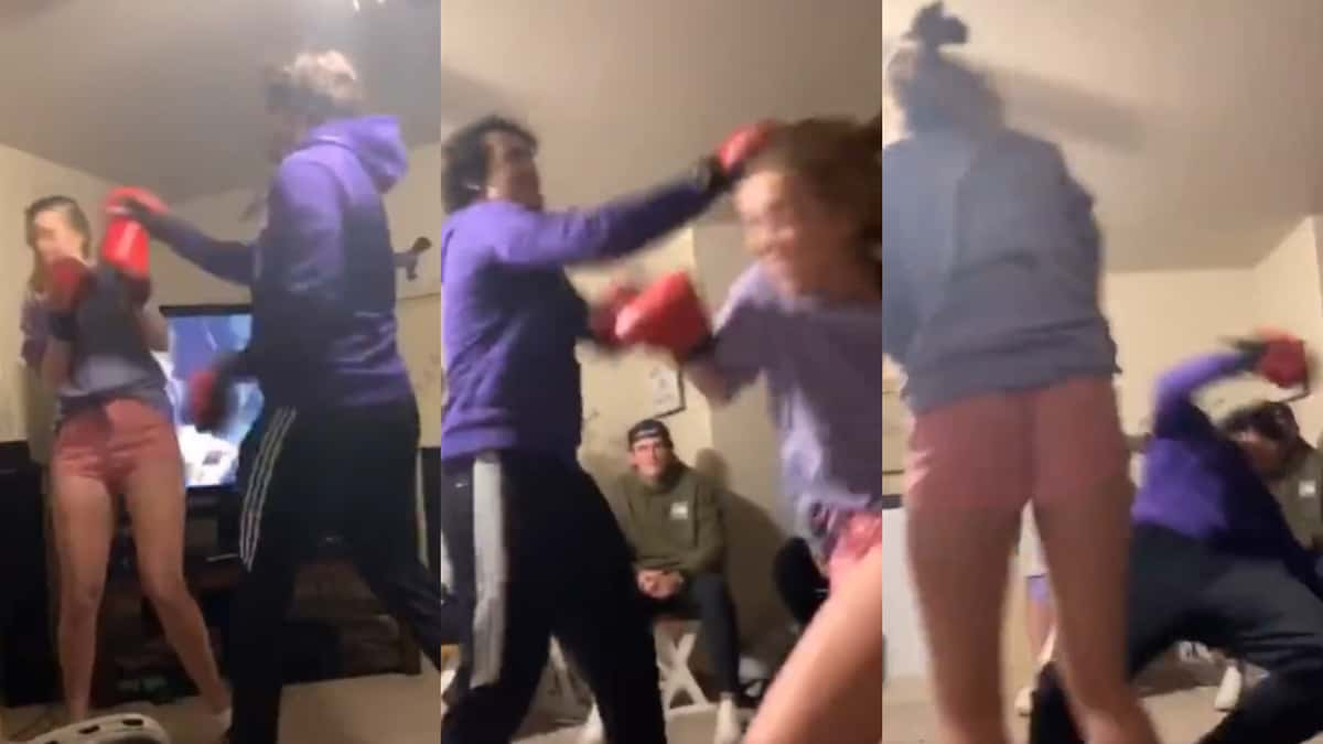 woman kos boyfriend in boxing match