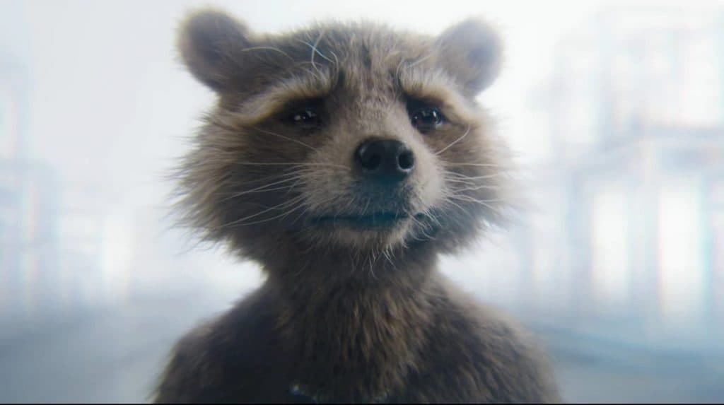 Rocket in Guardians of the Galaxy Vol 3