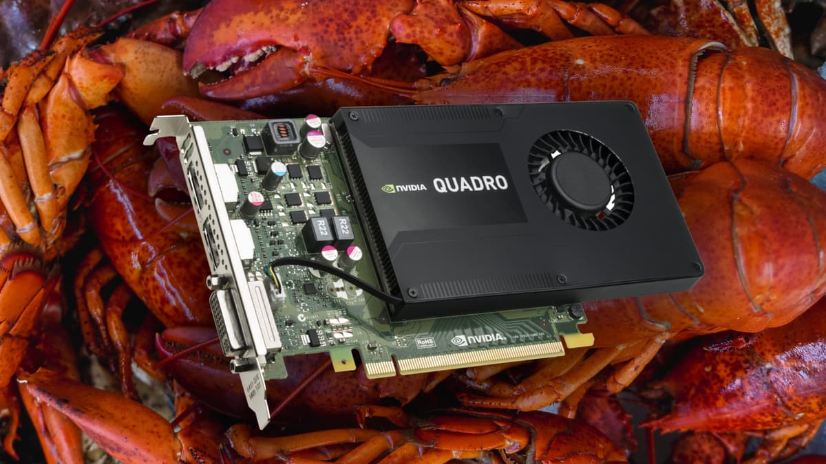 Live lobsters with Nvidia graphics card