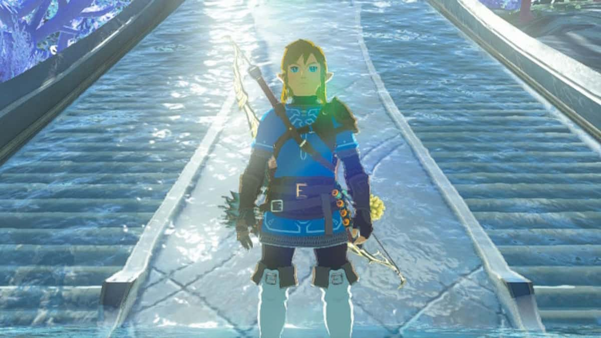 Link in Zora's Domain