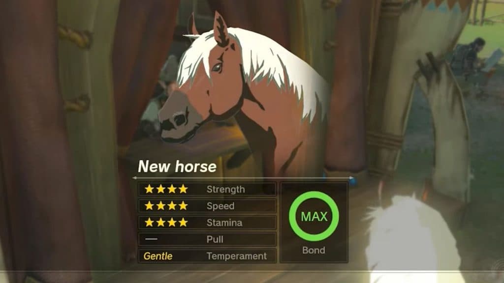 epona profile in zelda tears of the kingdom