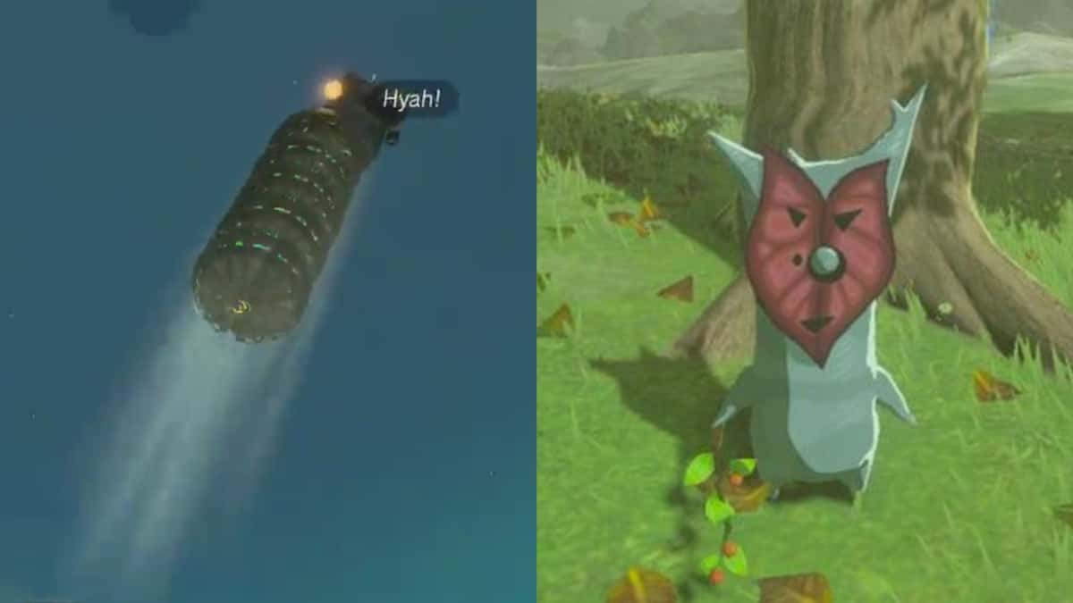 zelda tears of the kingdom korok rocket