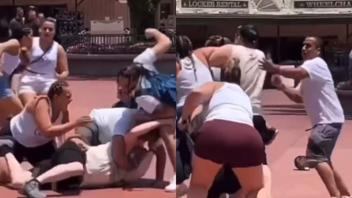 family brawl at disney world