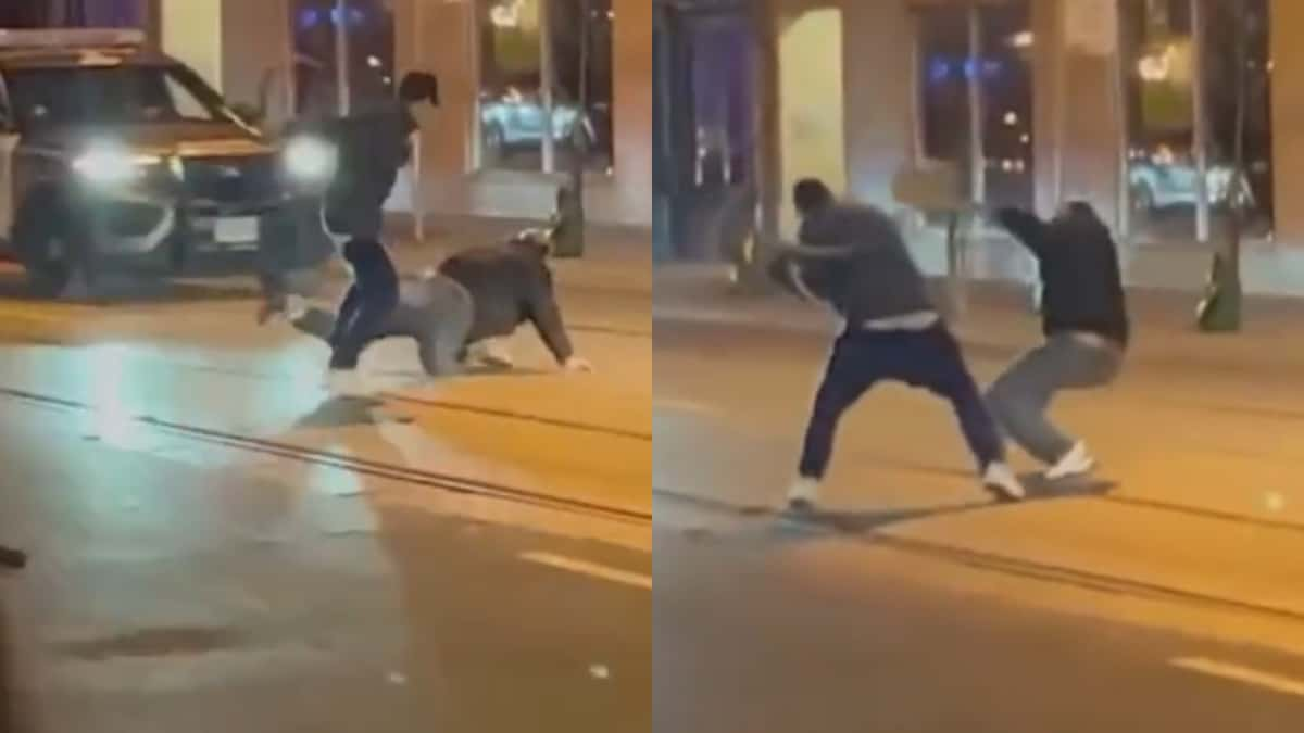 man uses snake as weapon in viral fight