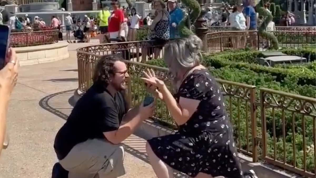 Disneyland proposal header