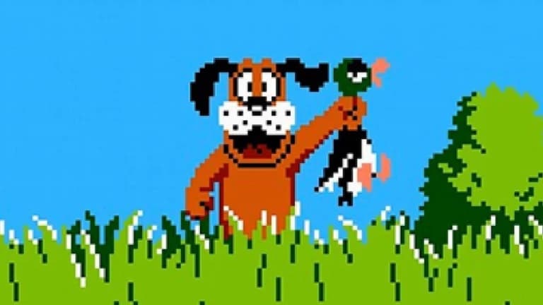 duck hunt dog