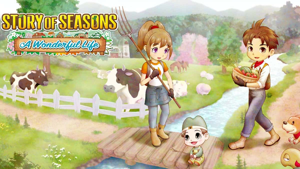 Story of Seasons A Wonderful Life