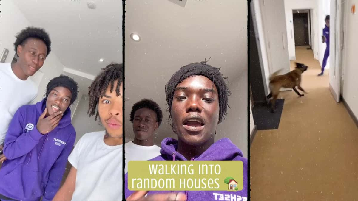 Mizzy walk into random homes