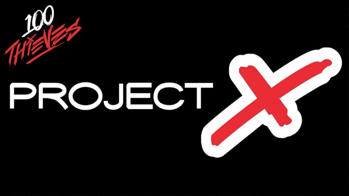 ProjectX art