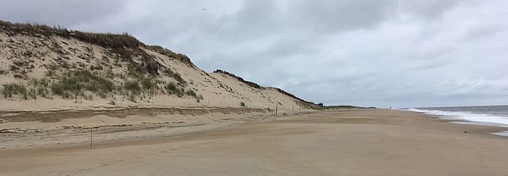 Cape Henlopen State Park, Delaware