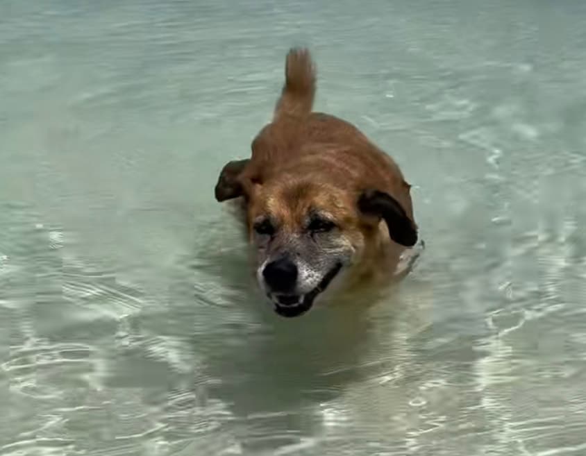 Soldier enjoys his time in Turks and Caicos after leading Airbnb guests to a local beach.