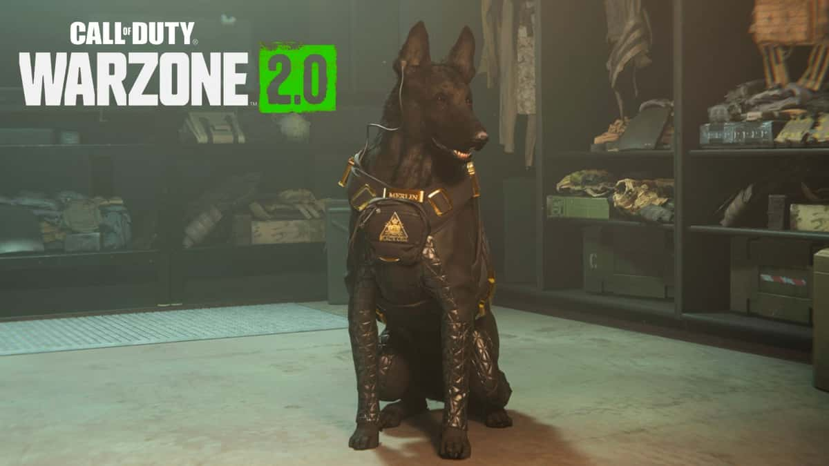 BlackCell tactical pet dog sat down in Warzone 2 menus