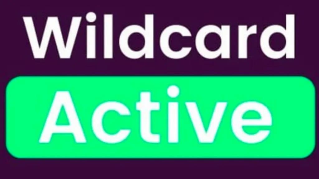 wilcard symbol in fantasy premier league