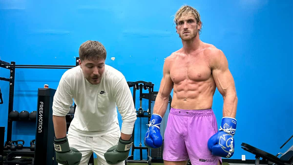 mrbeast-sparks-boxing-rumors-logan-paul-training