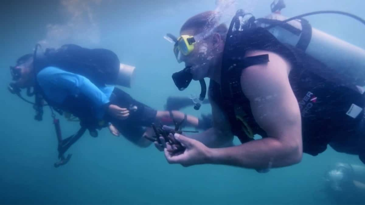 Below Deck Down Under team scuba diving