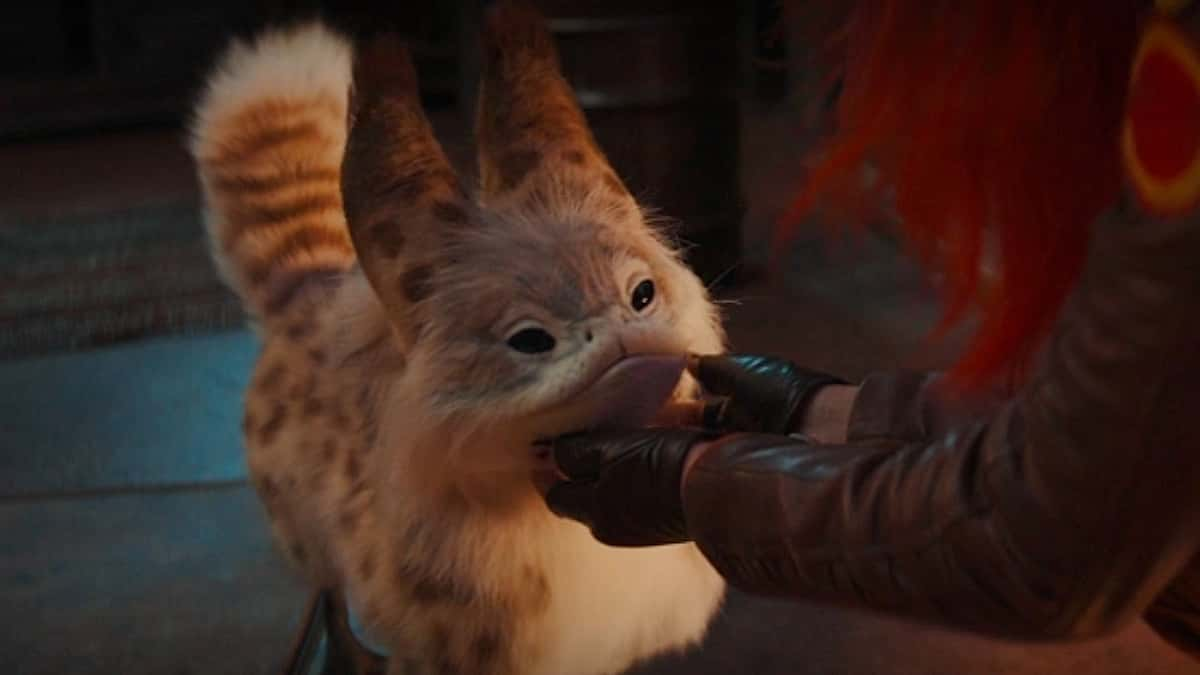 The Loth-cat in Ahsoka