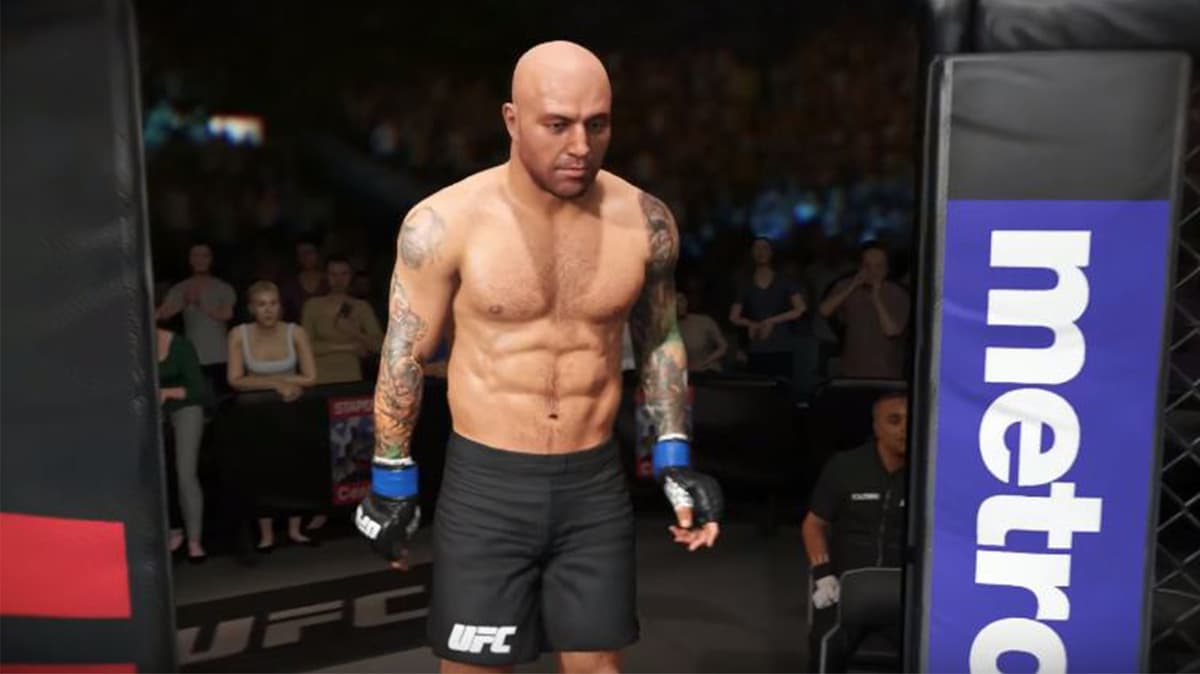 Joe Rogan in UFC 3