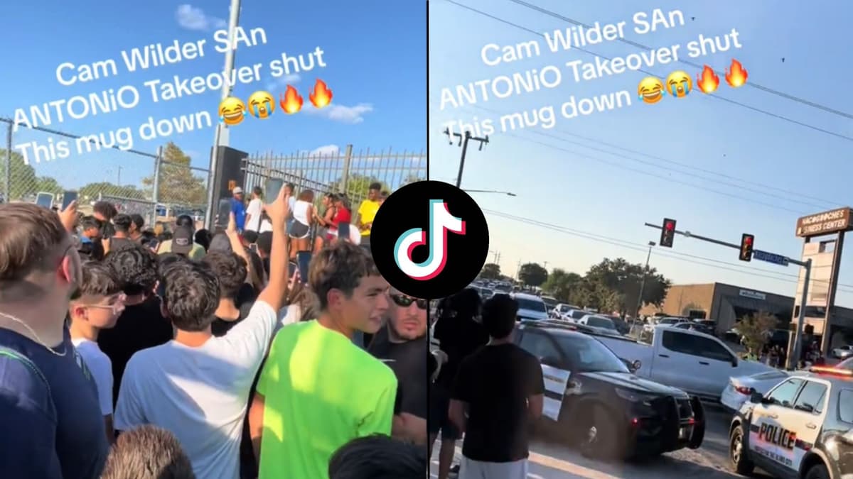 Screenshots of crowd in park with tiktok logo