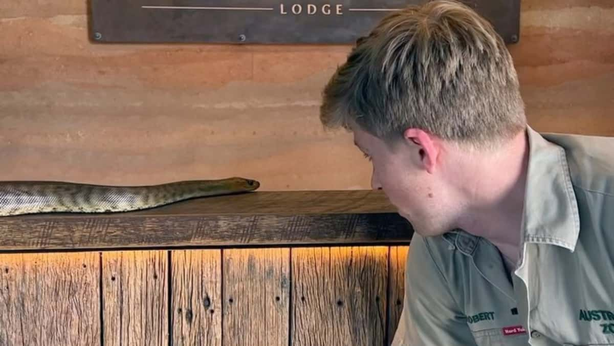 Robert Irwin looking at Snake