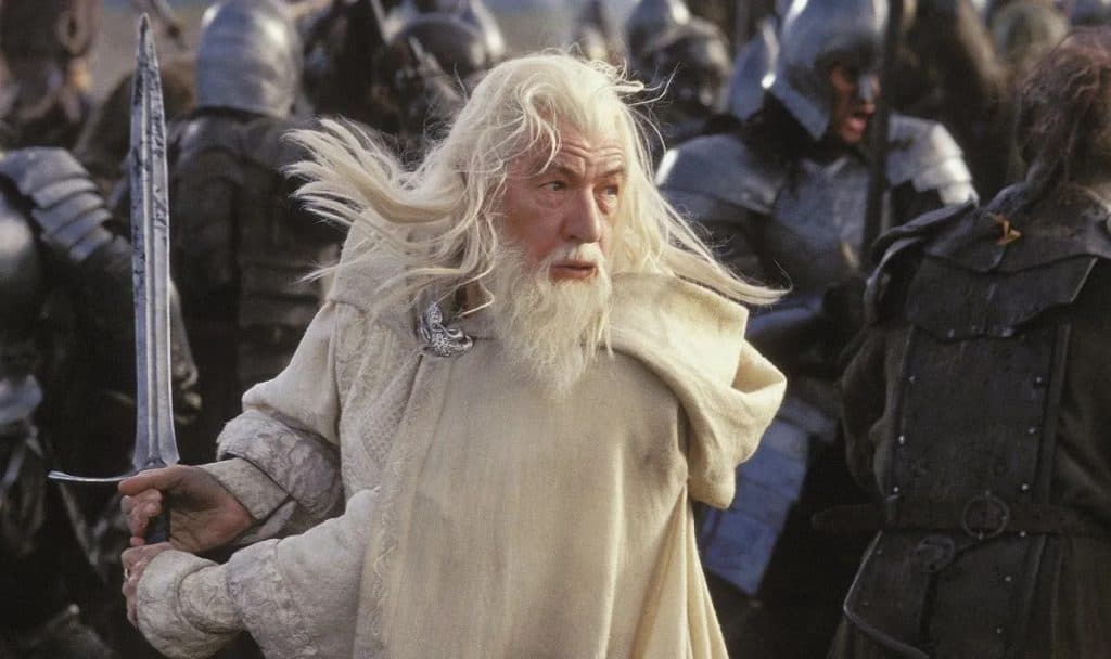 Gandalf the White in Lord of the Rings: Return of the King