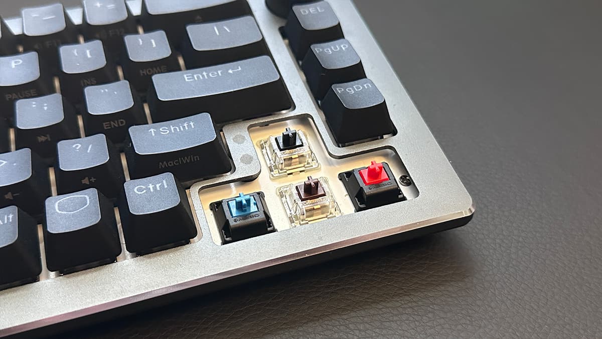 Cherry MX2A switches