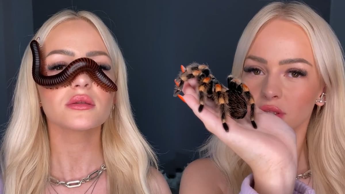 TikToker goes viral for putting deadly pets on her face