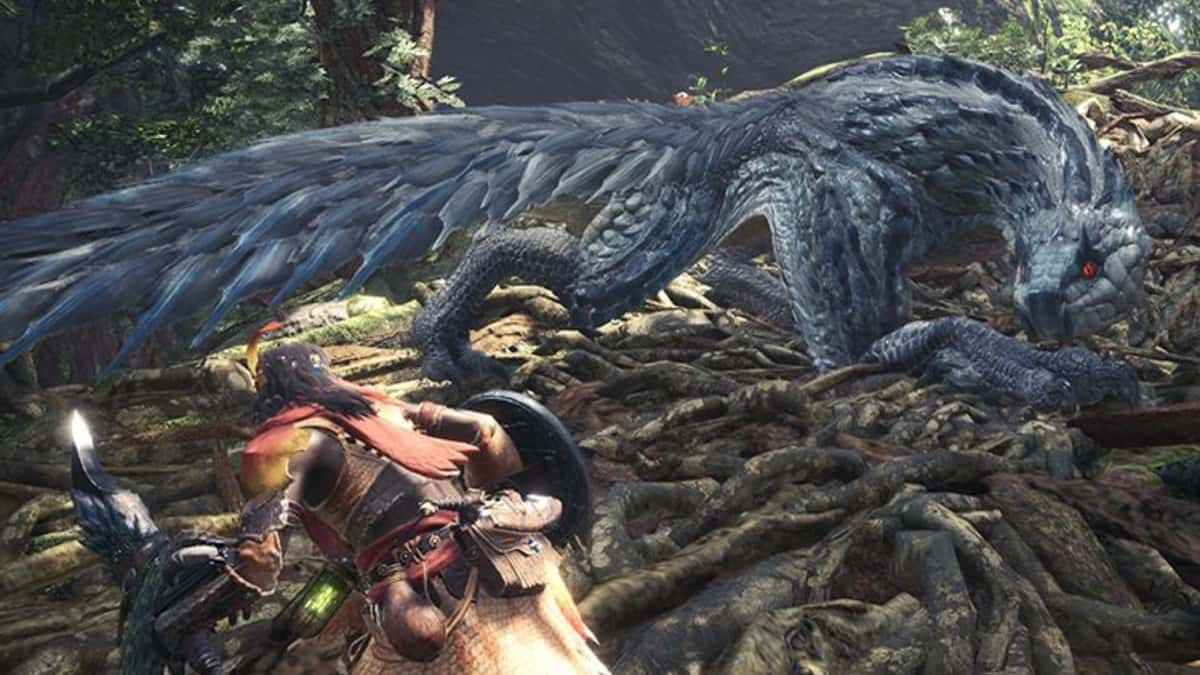 Monster Hunter Tobi-Kadachi hunt