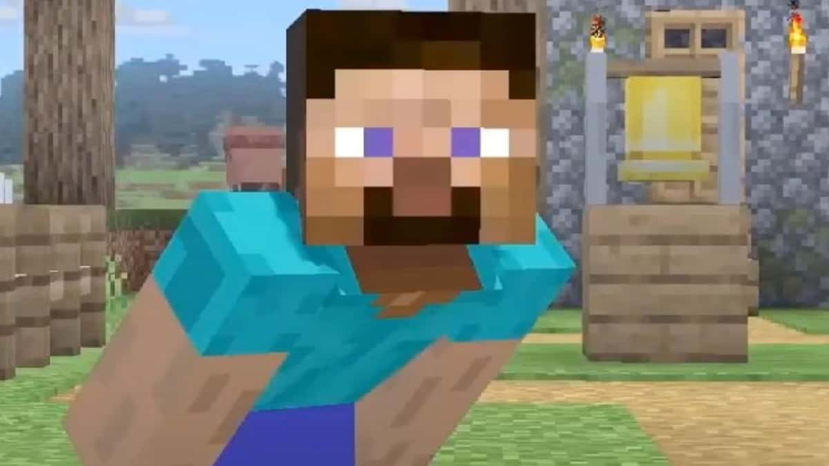 steve from minecraft