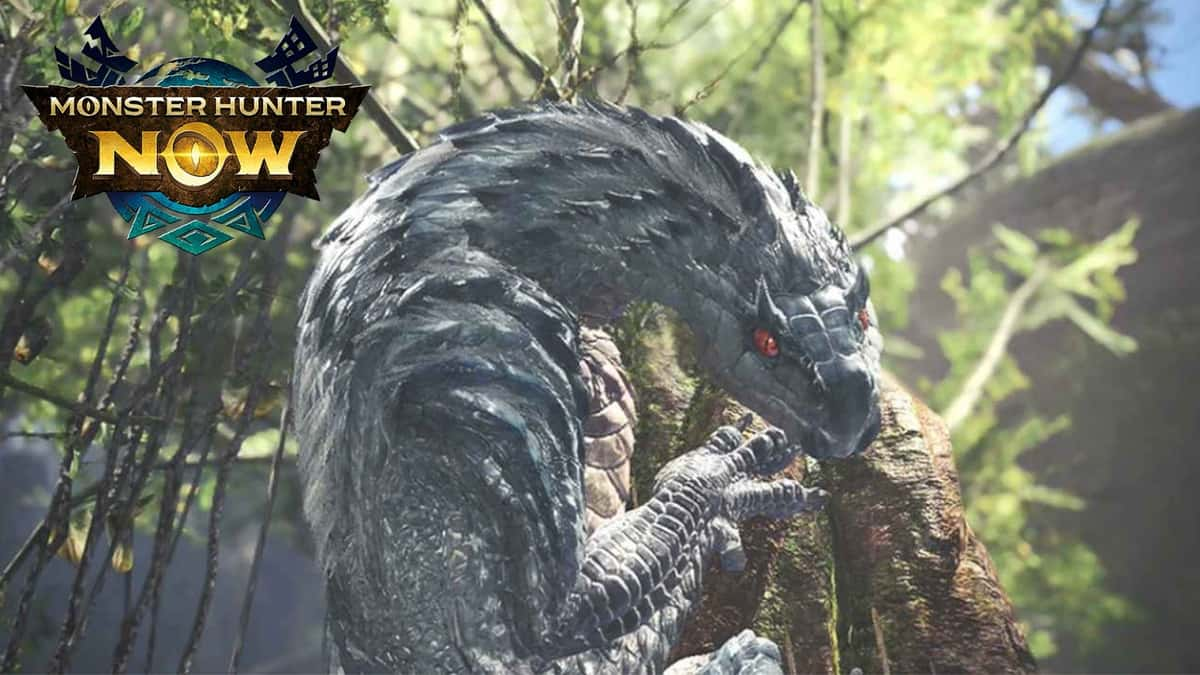 Monster Hunter World Tobi-Kadachi