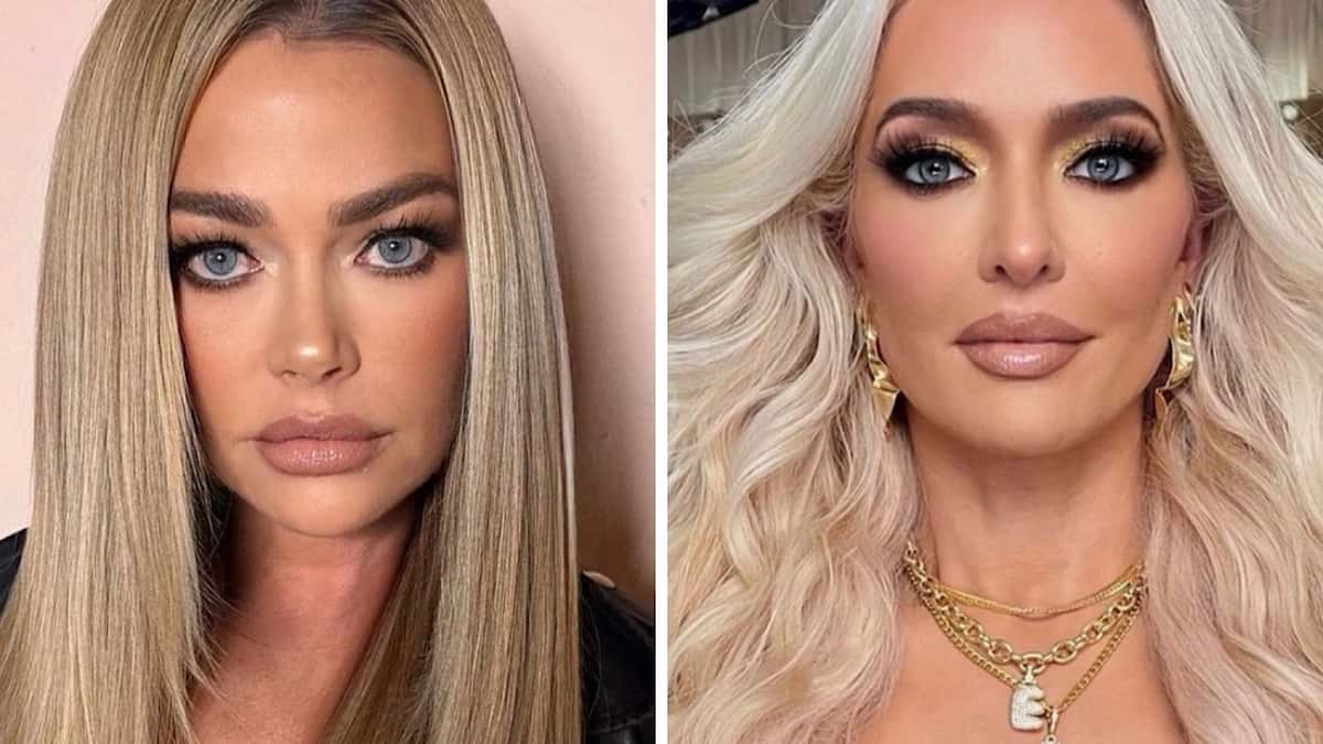 erika jayne said denise richards had an "agenda" during season 13 dinner party