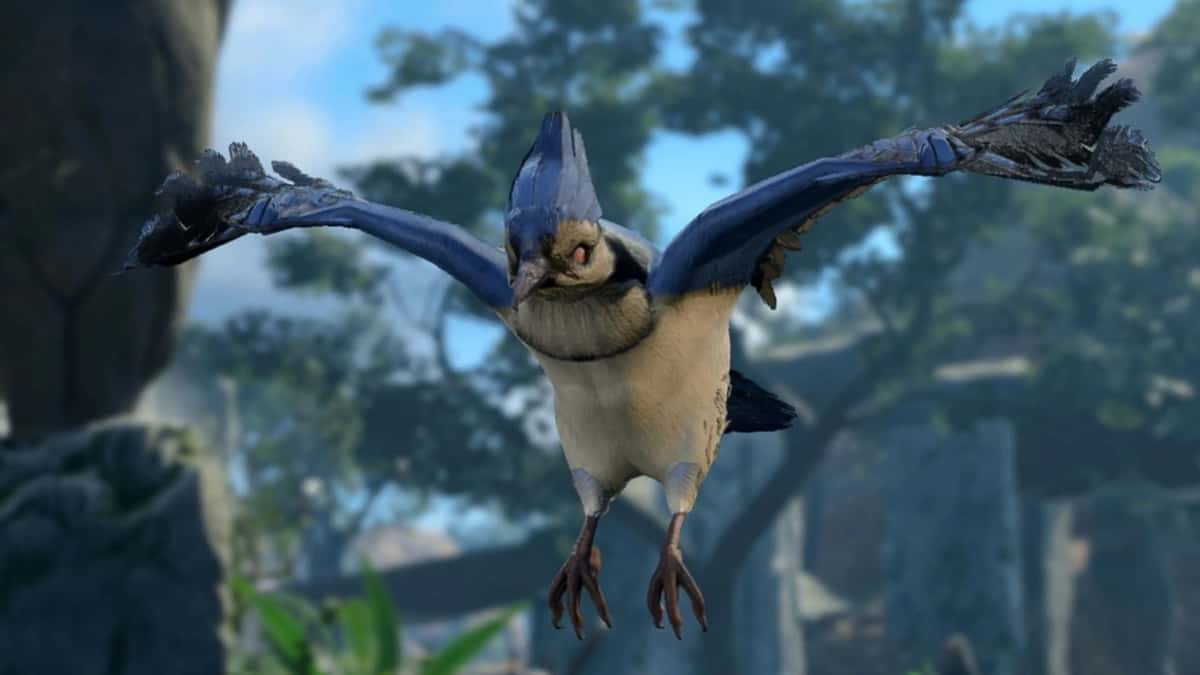 Blue Jay from Baldur's Gate 3