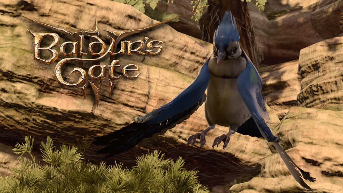 baldur's gate 3 blue jay