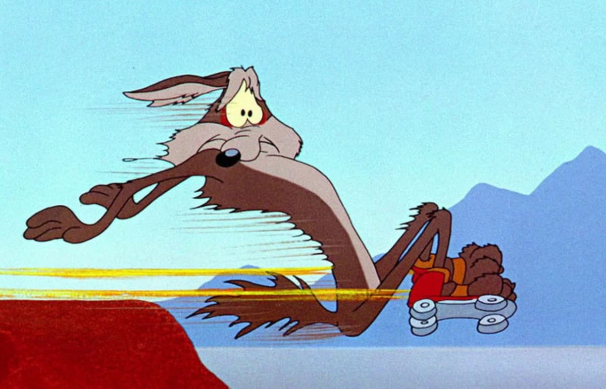 Warner Bros Coyote vs Acme